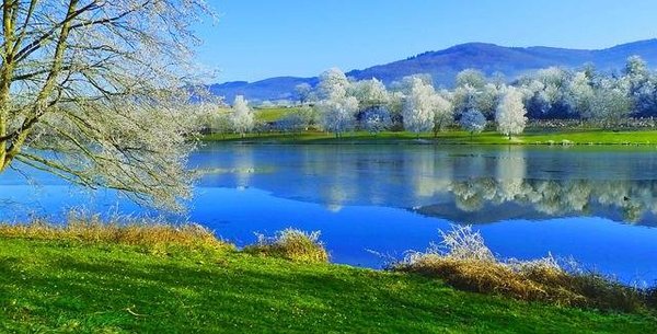 3 raisons de choisir un camping près d'un lac en France
